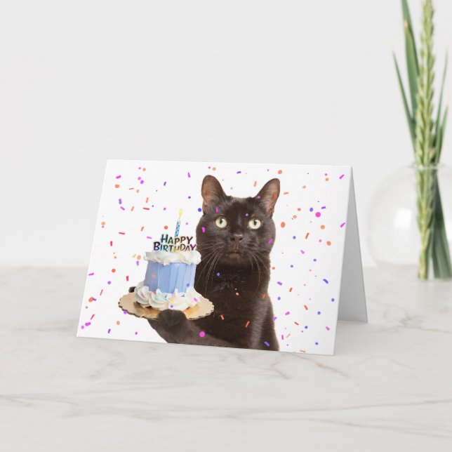 Cartes Pour Fêtes Annuelles Joyeux anniversaire Chat Holding Birthday Chat (Devant)