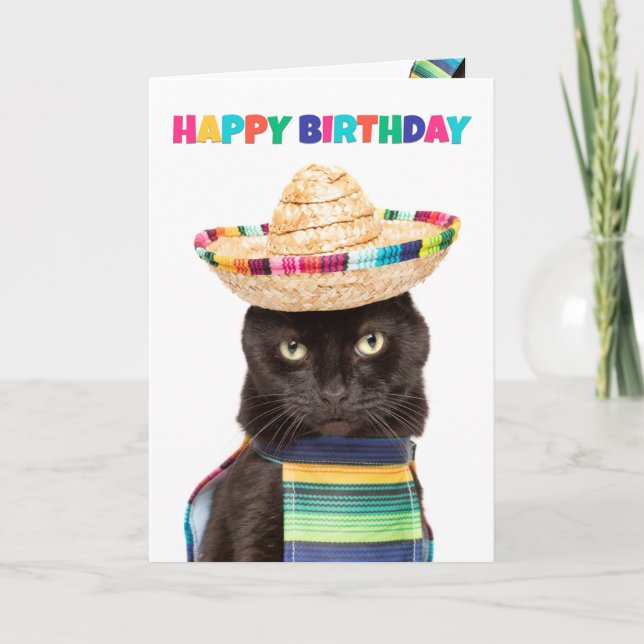 Cartes Pour Fêtes Annuelles Joyeux Anniversaire Cute Black Chat en Sombrerro (Devant)