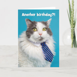 Cartes Pour Fêtes Annuelles Joyeux anniversaire Cute Can en Cravate