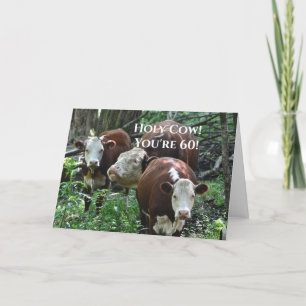 Cartes Pour Fêtes Annuelles Joyeux Anniversaire de la vache sainte !