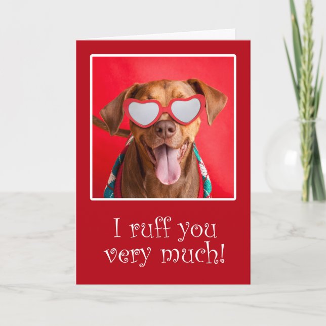 Cartes Pour Fêtes Annuelles Joyeux Anniversaire de l'Anyone Pit (Devant)