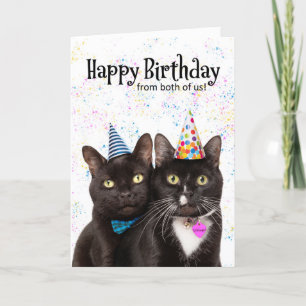 Cartes Pour Fêtes Annuelles Joyeux Anniversaire des deux mignons Humours de ch