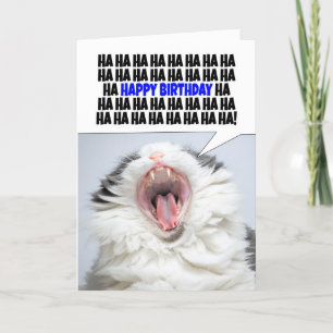 Cartes Pour Fêtes Annuelles Joyeux Anniversaire Drôle Chat Rire D'Être Vieux