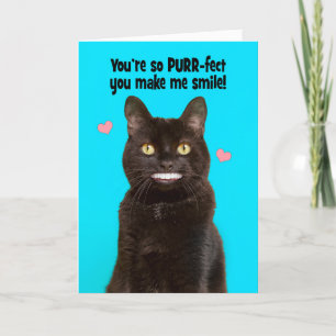 Cartes Pour Fêtes Annuelles Joyeux Anniversaire Drôle Chat Souriant Avec De Gr