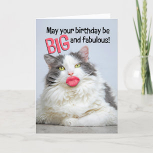 Cartes Pour Fêtes Annuelles Joyeux Anniversaire Fabuleux Chat Avec Grosse Lèvr