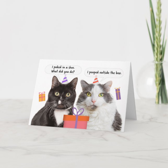 Cartes Pour Fêtes Annuelles Joyeux anniversaire Funny Cats parler Humour (Devant)