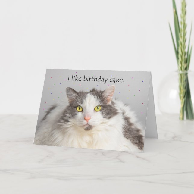 Cartes Pour Fêtes Annuelles Joyeux Anniversaire Graisse Chat aime Gâteau d'Ann (Devant)