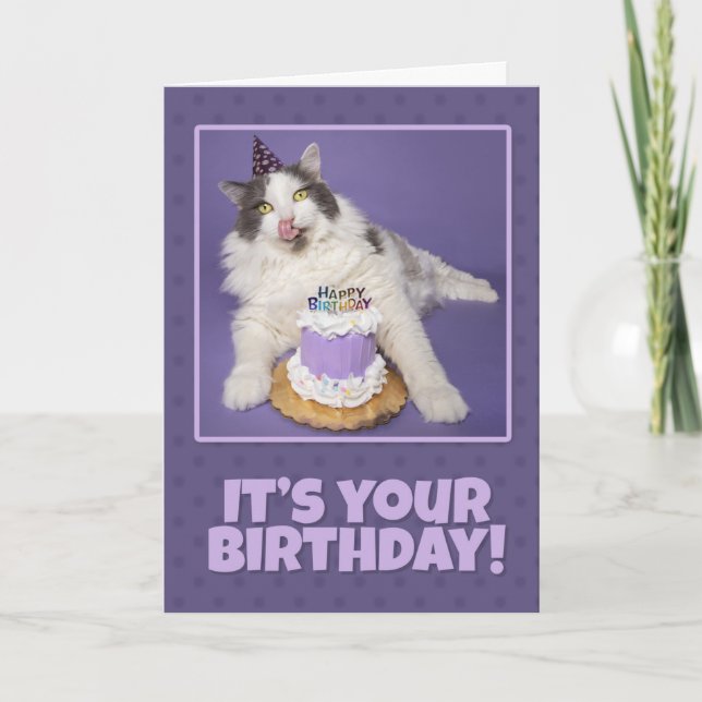Cartes Pour Fêtes Annuelles Joyeux Anniversaire Graisse Chat Lique Face Avec G (Devant)