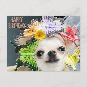 Cartes Pour Fêtes Annuelles Joyeux anniversaire mignon chien drôle