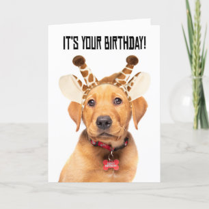 Cartes Pour Fêtes Annuelles Joyeux Anniversaire Mignonne Labo Marionnette Dans