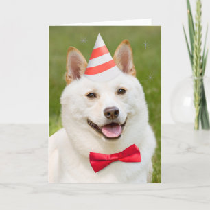 Cartes Pour Fêtes Annuelles Joyeux Anniversaire N'Importe Qui Shiba Inu Chien 