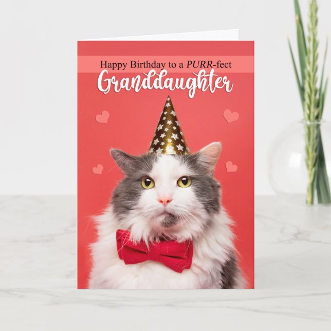 Cartes Pour Fêtes Annuelles Joyeux anniversaire petite-fille mignonne Chat en  (Devant)