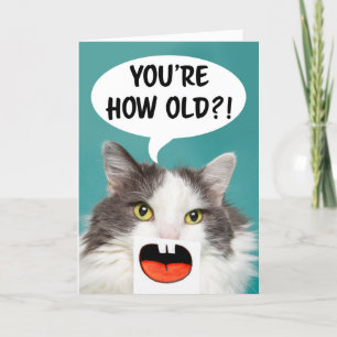 Cartes Pour Fêtes Annuelles Joyeux Anniversaire Pour N'Importe Qui Chat Drôle