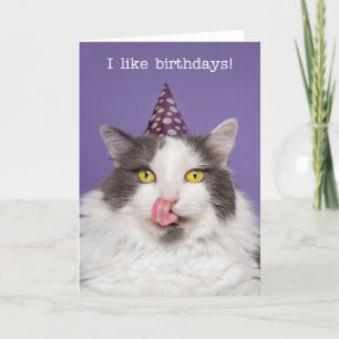 Cartes Pour Fêtes Annuelles Joyeux anniversaire pour n'importe qui Gros Chat e