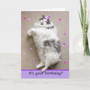 Cartes Pour Fêtes Annuelles Joyeux Anniversaire Pour Toute Personne Gros Chat 