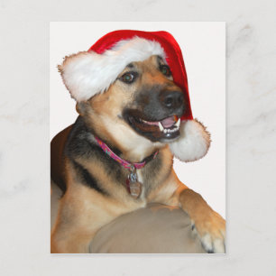 Cartes Pour Fêtes Annuelles Joyeux berger allemand de Noël