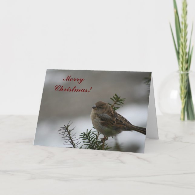 Cartes Pour Fêtes Annuelles Joyeux Bruant de Noël ! (Devant)