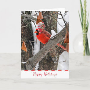 Cartes Pour Fêtes Annuelles Joyeux Cardinal des Vacances avec Casquette Stocki