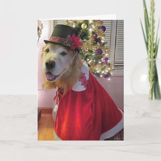 Cartes Pour Fêtes Annuelles Joyeux Caroleur de Noël de Golden Retriever (Devant)