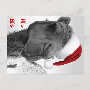 Cartes Pour Fêtes Annuelles Joyeux chameau Claus de Noël de Humpin