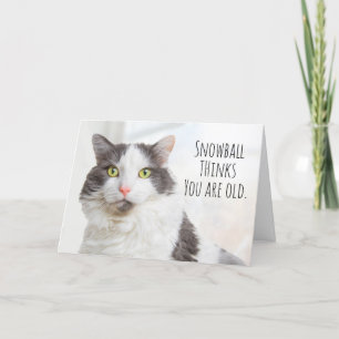 Cartes Pour Fêtes Annuelles Joyeux Chat D'Anniversaire Pense Que Vous Êtes Un 
