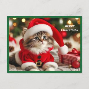 Cartes Pour Fêtes Annuelles Joyeux chat de Noël