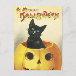 Cartes Pour Fêtes Annuelles Joyeux chat démodé de Halloween