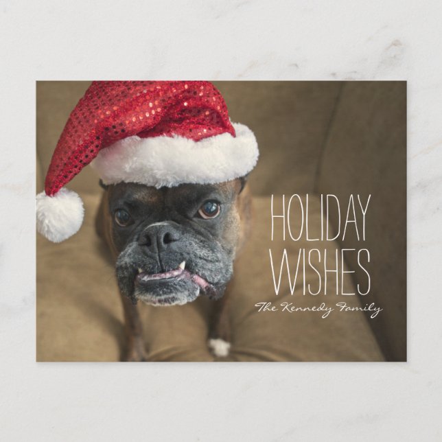 Cartes Pour Fêtes Annuelles Joyeux chien de Noël (Devant)