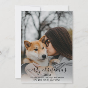 Cartes Pour Fêtes Annuelles Joyeux Chien De Noël Photo Du Chien