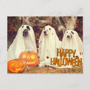 Cartes Pour Fêtes Annuelles Joyeux Chiens mignons d'Halloween en costumes fant