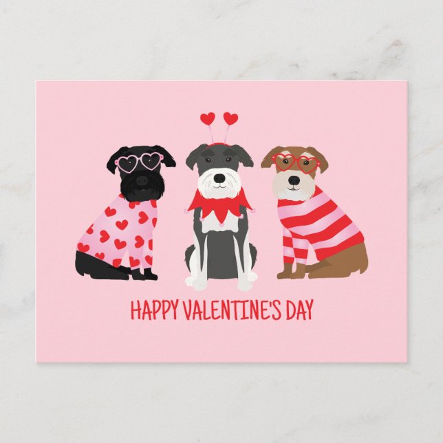 Cartes Pour Fêtes Annuelles Joyeux Chiens Schnauzer de la Journée des Valentin (Devant)