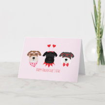 Joyeux Chiens Schnauzer de la Journée des Valentin
