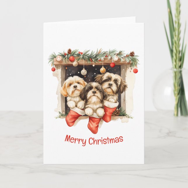 Cartes Pour Fêtes Annuelles Joyeux Chih Tzu Chiens de Noël Shih (Devant)