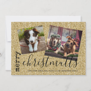Cartes Pour Fêtes Annuelles Joyeux Christ MUTTS Chien Photo Animaux de compagn