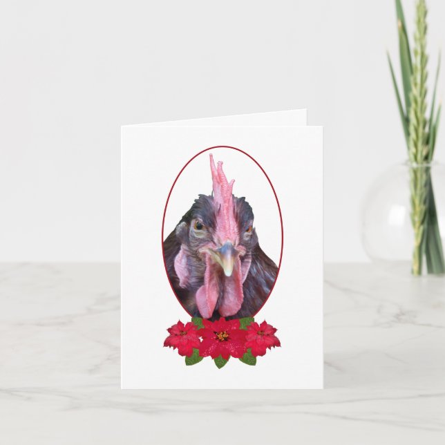 Cartes Pour Fêtes Annuelles Joyeux Clucs de Noël Poulet Poinsettia (Devant)