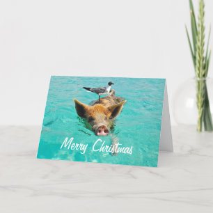 Cartes Pour Fêtes Annuelles Joyeux Cochon de natation de Noël