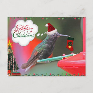 Cartes Pour Fêtes Annuelles Joyeux colibri de Noël
