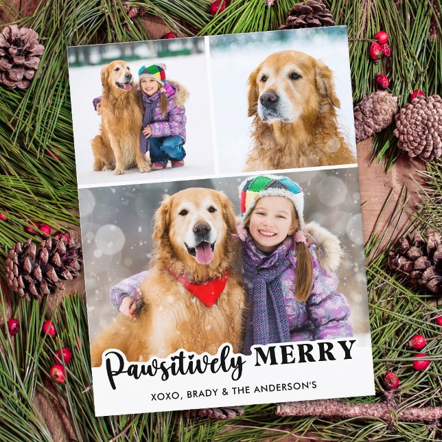 Cartes Pour Fêtes Annuelles Joyeux de façon péjorative Personnalisé 3 Amoureux (Créateur téléchargé)