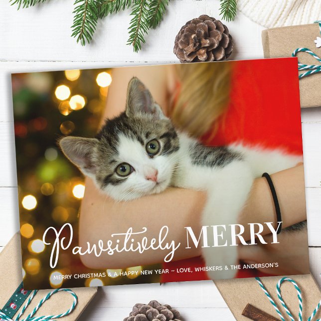 Cartes Pour Fêtes Annuelles Joyeux de manière péjorative Personnalisé chat ani (Créateur téléchargé)