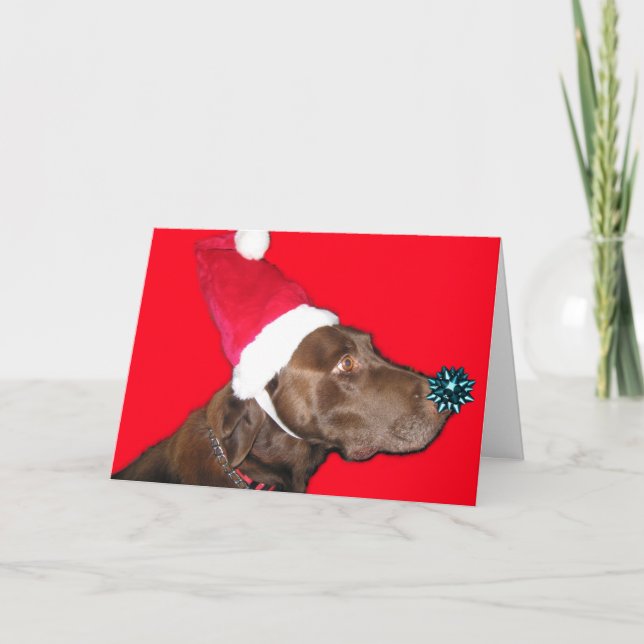 Cartes Pour Fêtes Annuelles Joyeux Dogmas ! (Devant)