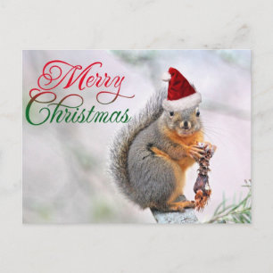 Cartes Pour Fêtes Annuelles Joyeux écureuil de Noël