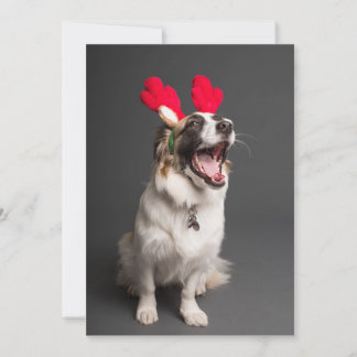 Cartes Pour Fêtes Annuelles Joyeux et Bonheur Tout !