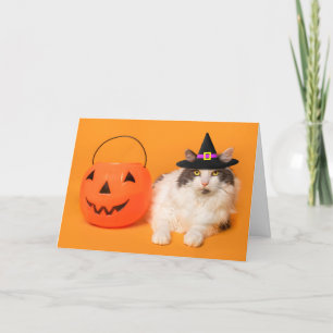 Cartes Pour Fêtes Annuelles Joyeux Halloween à quiconque joli chat dans un cha