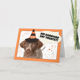 Cartes Pour Fêtes Annuelles Joyeux Halloween German Shorthaired Pointer