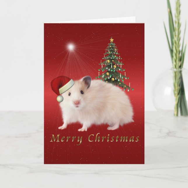 Cartes Pour Fêtes Annuelles Joyeux Hampster de Noël (Devant)