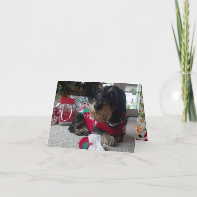 Cartes Pour Fêtes Annuelles Joyeux Howlidays (Devant)