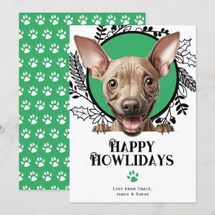 Cartes Pour Fêtes Annuelles Joyeux Howlidays American Hairless Dog Christmas