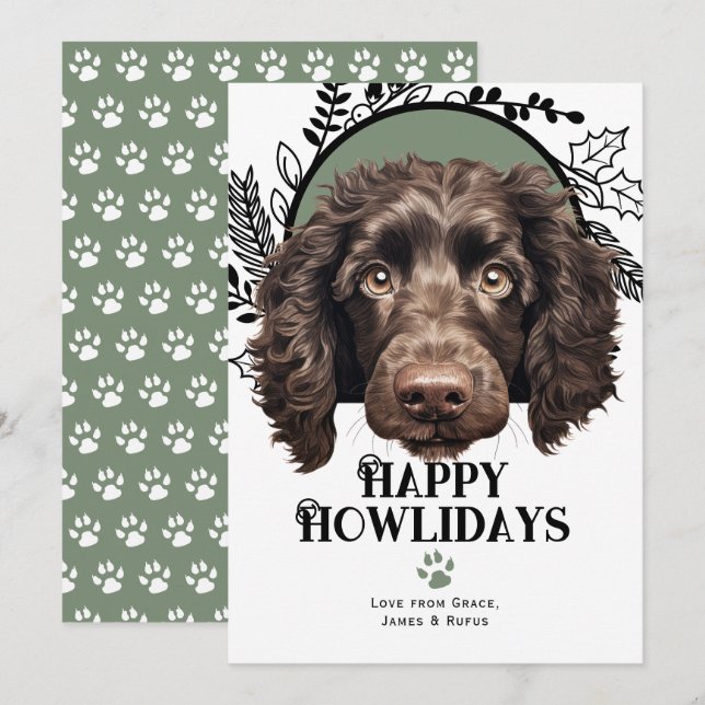 Cartes Pour Fêtes Annuelles Joyeux Howlidays American Water Spaniel Christmas (Devant / Derrière)