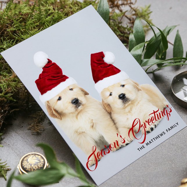 Cartes Pour Fêtes Annuelles Joyeux Howlidays Bonnes Fêtes Photo Noël (Créateur téléchargé)