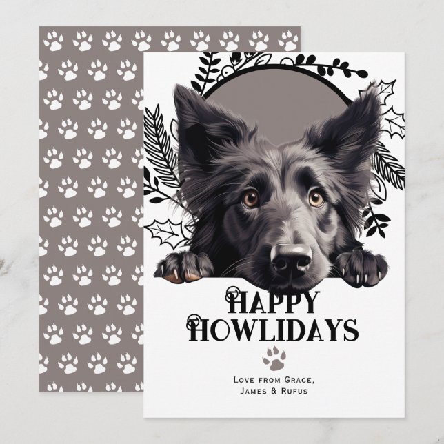 Cartes Pour Fêtes Annuelles Joyeux Howlidays Chien belge Sheepdog Noël (Devant / Derrière)